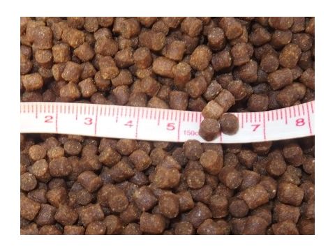 Skretting jeseter 500 g granule