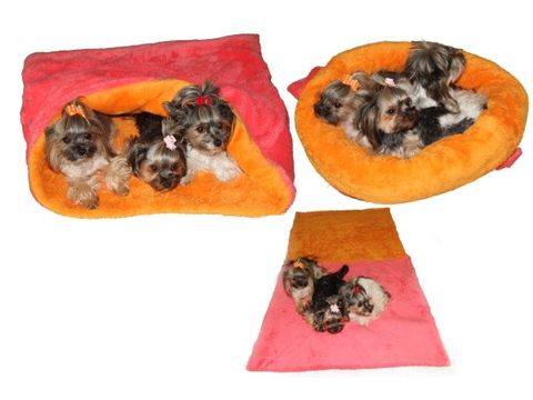 Marysa spací pytel MAX4 85 x 80 cm růžová oranžová