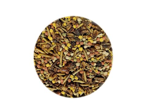 KOI Mix s hmyzem 800 g