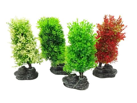 Tatrapet akvarijní rostlina na kartě 15 - 17 cm, 2 ks zelená ,1x červená,1x bílá