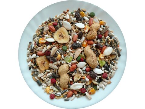 Avicentra Special velký papoušek 15 kg 
