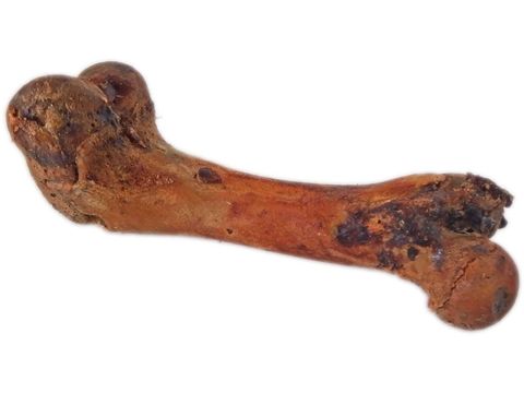 Abakus UZENÁ vepřová kost  malá