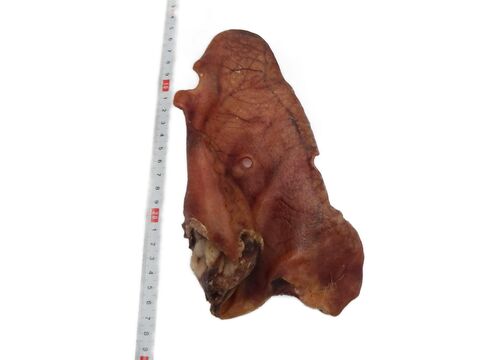 Alkapet sušené vepřové ucho XXL