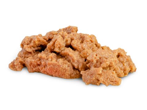 WOOLF ULTIMATE CANNED DOGFOOD - Duck with Coconut oil 400 g kachna s kokosovým olejem