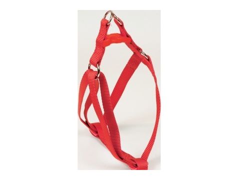 Nayeco postroj Basic Rojo nylon červený 10 mm x 15 - 25 cm 