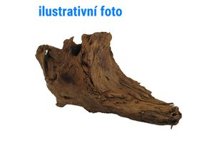 Tatrapet akvarijní kořen Elbasia L driftwood 35-40 cm
