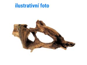 Tatrapet akvarijní kořen Jaty 55 - 100 cm