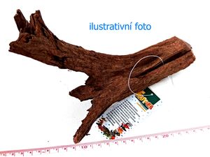 Tatrapet akvarijní kořen M mangrove wood 25 - 35 cm