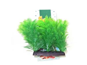 Tatrapet akvarijní rostlina na kartě 8-10cm mix 5ks