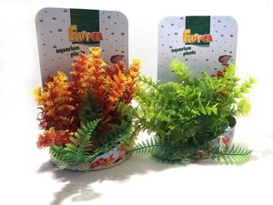 Tatrapet akvarijní rostlina Ambulia na kartě 15-18cm 1x zelená a 1x červená