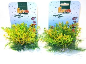 Tatrapet akvarijní rostlina Ambulia na kartě 12cm zeleno-žlutá