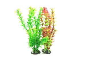 Tatrapet akvarijní rostlina na kartě, 15 - 20 cm, 2 x červená , 2 x zelená