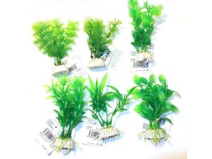 Tatrapet akvarijní rostlina 194.08 10-12cm 6x mix zelená