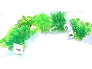 Tatrapet akvarijní rostlina 13 cm mix 5 ks zelených