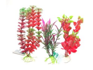 Tatrapet akvarijní rostlina na kartě, 15 - 20 cm, 6 ks červených