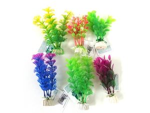 Tatrapet akvarijní rostlina 10-12 cm 6 ks mix