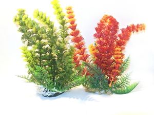 Tatrapet akvarijní rostlina Ambulia 14-17cm zelená a červená