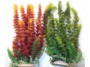 Tatrapet akvarijní rostlina Cabomba 22-25cm 1x zelená a 1x červená
