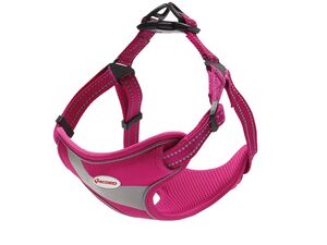 Record postroj Himalaya 40-62 cm nylon reflexní růžový doprodej