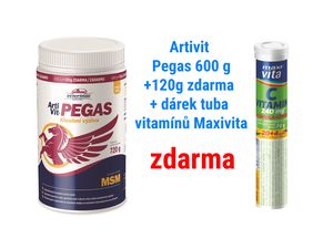 Nomaad ArtiVit Pegas MSM 720g