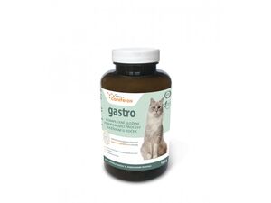 Canifelox Gastro cat 120 g