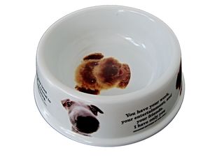 Tatrapet miska tvrdá 0,7 l / 21 cm 483.54 s motivem psa bílá SLEVA