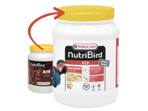 NutriBird A19 800 g- směs pro ruční dokrmování ary, žaka, eklektů a rychlerostoucích druhů