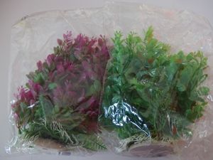 Tatrapet akvarijní rostlina 25-28cm 1 zelená+ 1 fialová
