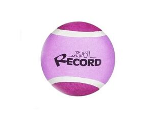 Record hračka pro psa tenisák průměr 6,4 cm guma fialová