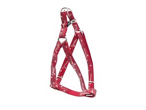 Nayeco postroj Envy wild koženkový červený 10 mm x 26 - 40 cm