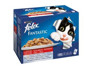 Felix masový výběr v želé 12 x 100 g