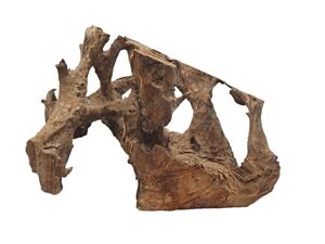 Tatrapet akvarijní kořen Elbasia XL driftwood 55-100 cm