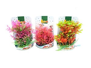 Tatrapet akvarijní rostlina 15 - 20 cm, 1x červená, 1x růžová, 1x fialová