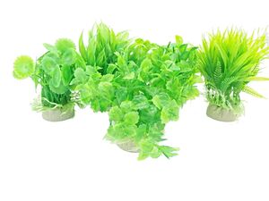 Tatrapet akvarijní rostlina na kartě, 10 - 12 cm, mix 5 ks zelená