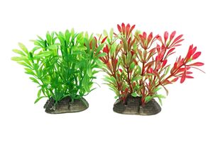Tatrapet akvarijní rostlina na kartě 10 - 12 cm, 1x zelená a 1x červená