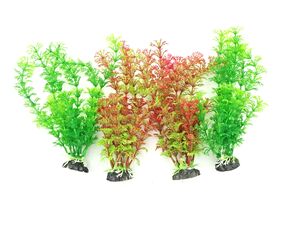 Tatrapet akvarijní rostlina na kartě, 15 - 20 cm, 2 x červená , 2 x zelená