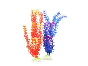 Tatrapet akvarijní rostlina na kartě 20 - 28 cm, 1x oranžová, 1x modrá
