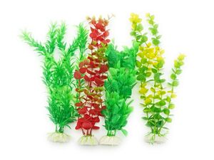 Tatrapet akvarijní rostlina 20 - 28 cm, 2x zelená, 1x žlutá, 1x červená