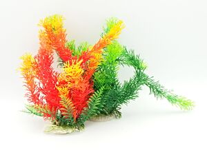 Tatrapet akvarijní rostlina 22 - 28 cm 1x zelená 1x oranžová