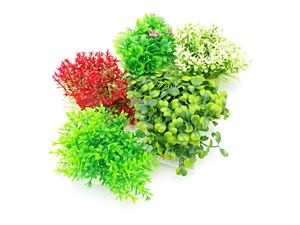 Tatrapet akvarijní rostlina 8-9 cm mix 5 ks červená, zelená, béžová