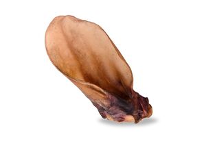 Dog Snaq sušené hovězí ucho se záuškem