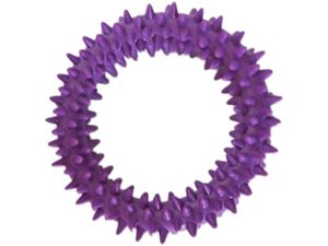 Tatrapet hračka pro psa kroužek s výstupky 9 cm tvrdá guma fialová
