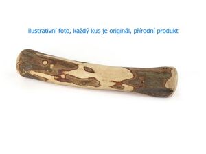 Record hračka pro psa aport z olivovníku M 20 - 26 cm, 100 - 200 g