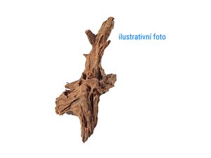 Tatrapet akvarijní kořen mangrove wood 50 - 65 cm