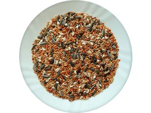 Avicentra Classic malý papoušek 20 kg
