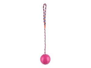 Flamingo hračka pro psa míč s rolničkou průměr 7 cm na šňůře 30 cm guma růžová