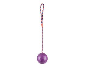 Flamingo hračka pro psa míč s rolničkou průměr 7 cm na šňůře 30 cm guma fialová