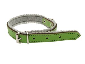 Obojek na psa kožený 40cm/16mm zelený