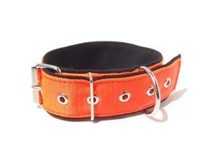Obojek na psa látkový široký 60cm/40mm polstrovaný oranžový