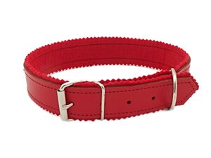 Obojek na psa kožený 65cm/30mm červený